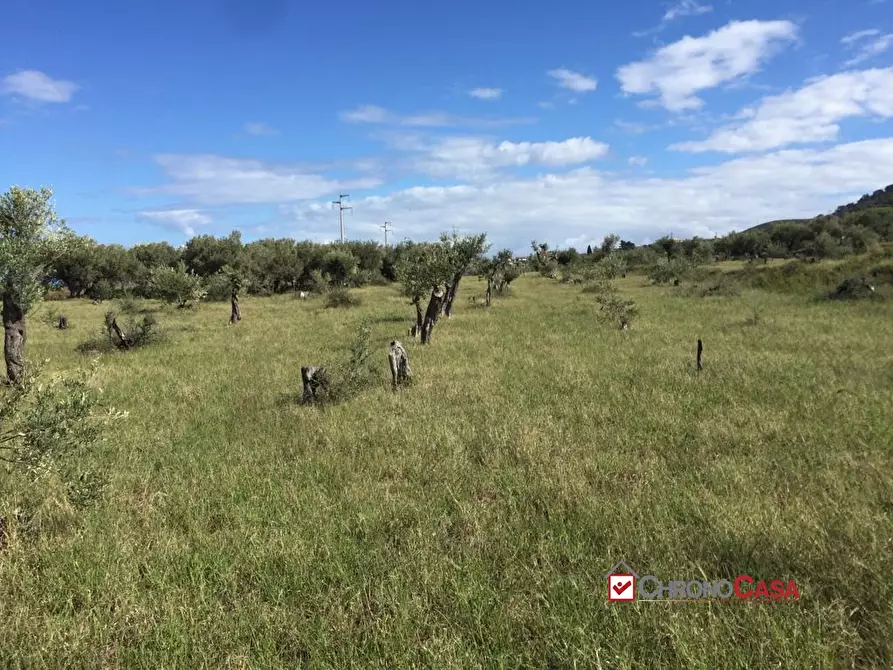 Immagine 10 di Rustico / casale in vendita  a Messina