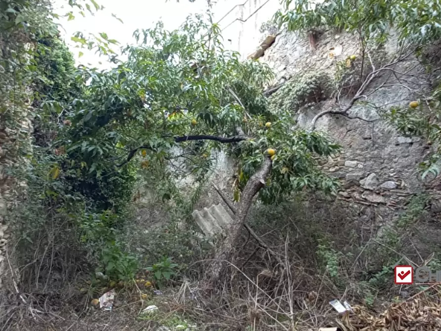 Immagine 4 di Rustico / casale in vendita  a Messina