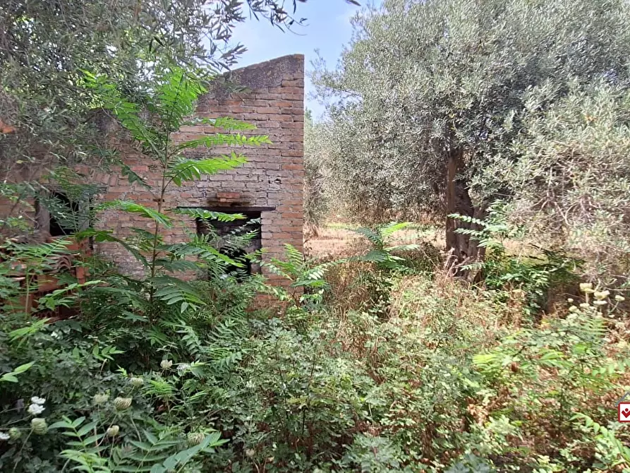 Immagine 9 di Rustico / casale in vendita  a Messina