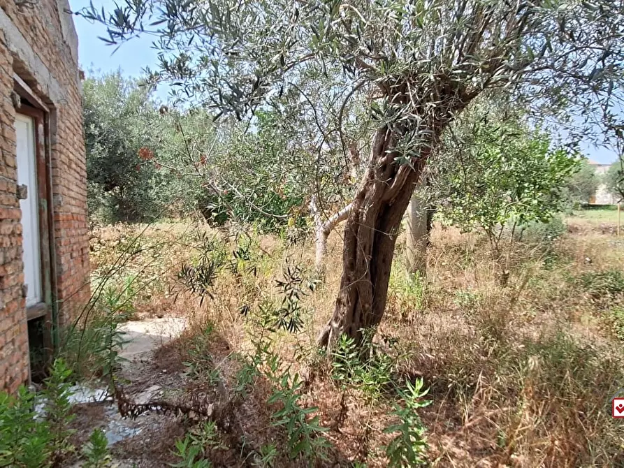 Immagine 4 di Rustico / casale in vendita  a Messina