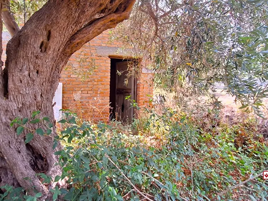 Immagine 1 di Rustico / casale in vendita  a Messina