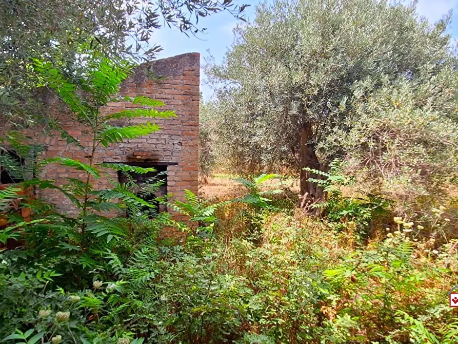 Immagine 2 di Rustico / casale in vendita  a Messina