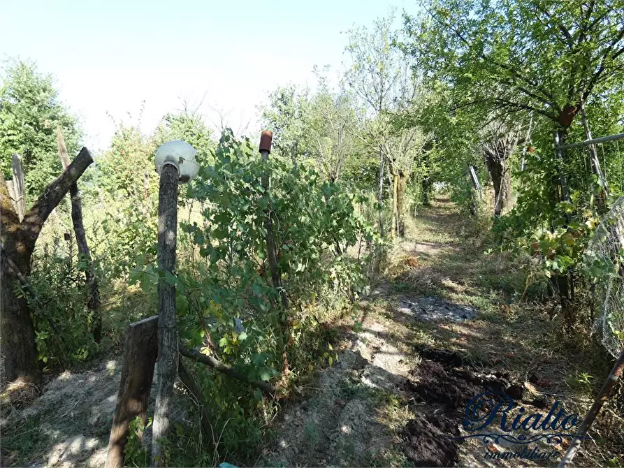 Immagine 4 di Rustico / casale in vendita  84 a Castelnuovo Don Bosco