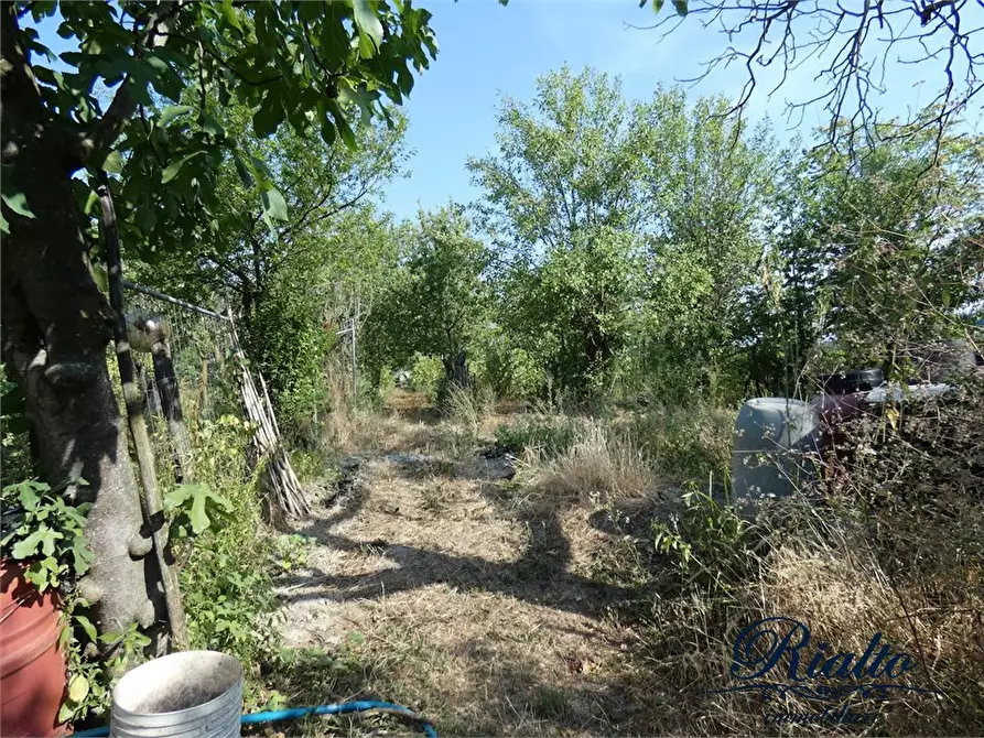 Immagine 3 di Rustico / casale in vendita  84 a Castelnuovo Don Bosco