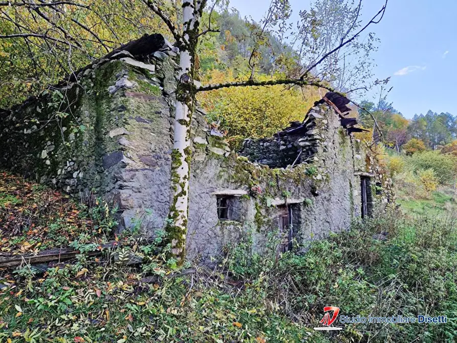 Immagine 4 di Rustico / casale in vendita  a Corteno Golgi