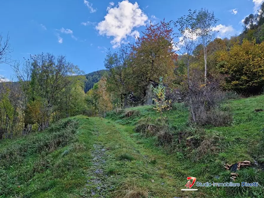 Immagine 9 di Rustico / casale in vendita  a Corteno Golgi