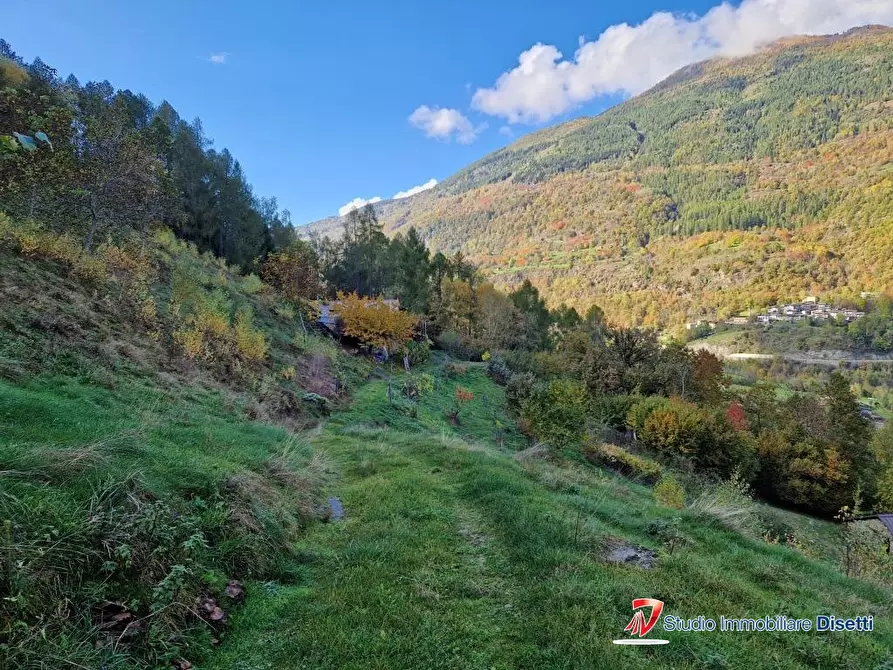 Immagine 10 di Rustico / casale in vendita  a Corteno Golgi