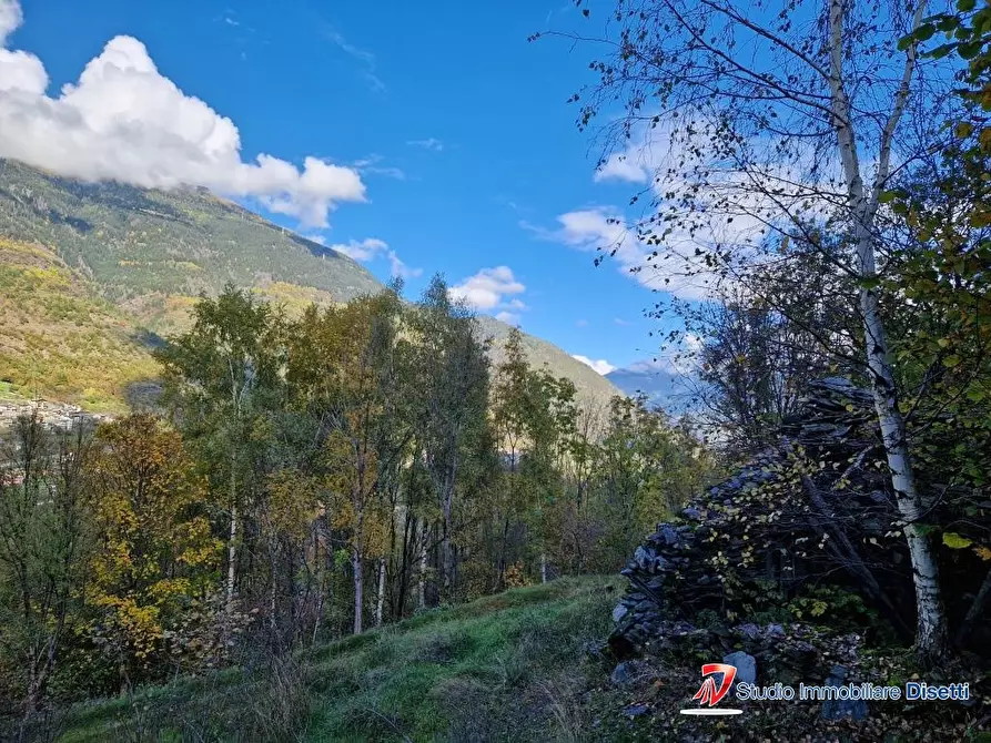 Immagine 6 di Rustico / casale in vendita  a Corteno Golgi