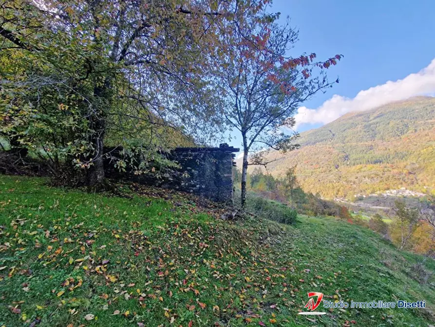 Immagine 5 di Rustico / casale in vendita  a Corteno Golgi