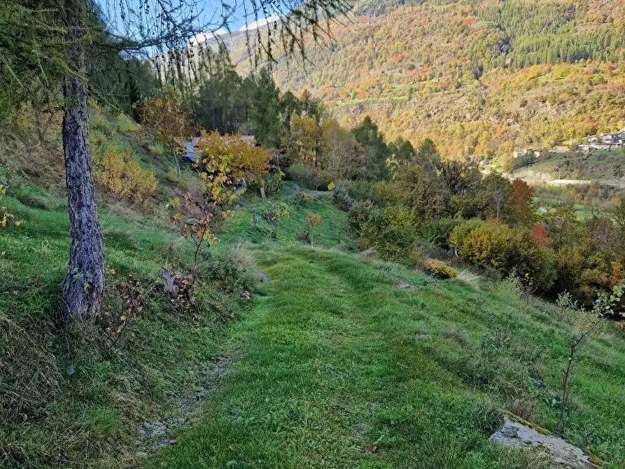 Immagine 8 di Rustico / casale in vendita  a Corteno Golgi