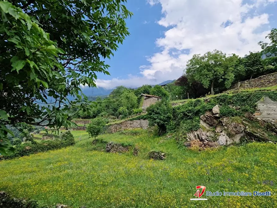 Immagine 7 di Rustico / casale in vendita  a Cedegolo