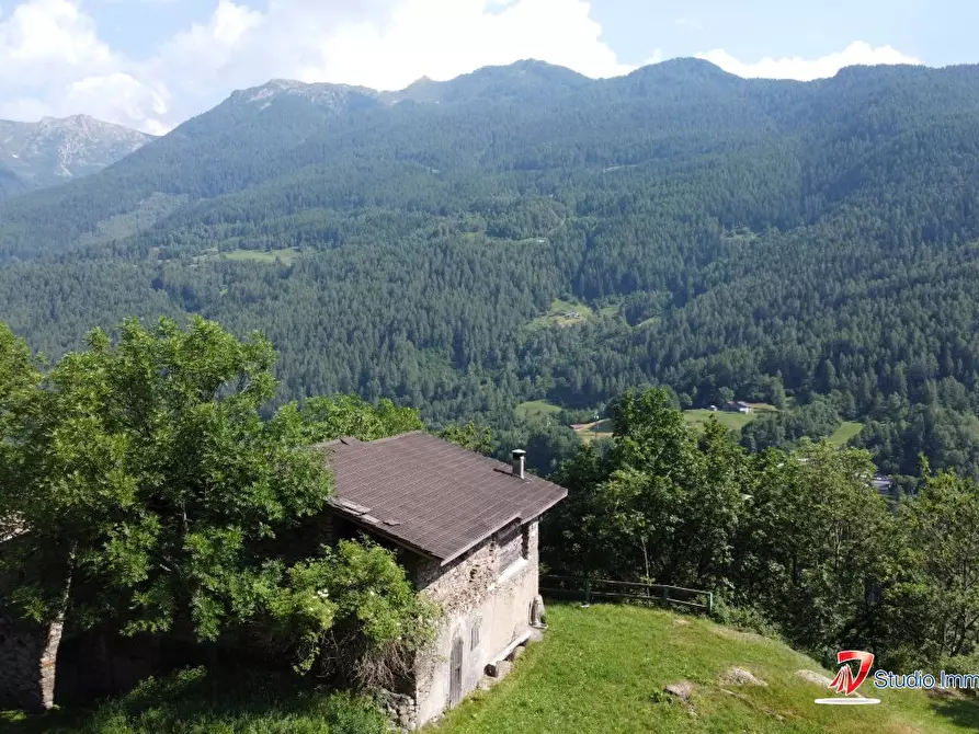 Immagine 7 di Rustico / casale in vendita  a Corteno Golgi