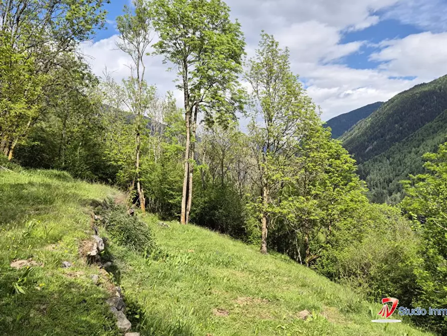 Immagine 4 di Rustico / casale in vendita  a Incudine