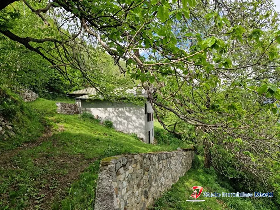 Immagine 8 di Rustico / casale in vendita  a Incudine