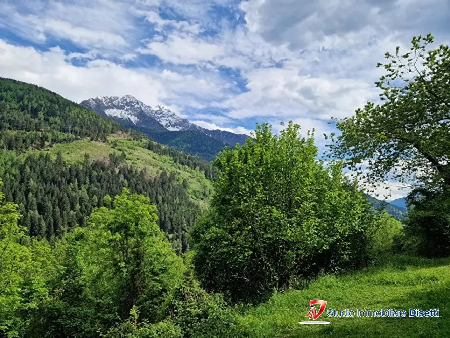 Immagine 7 di Rustico / casale in vendita  a Incudine