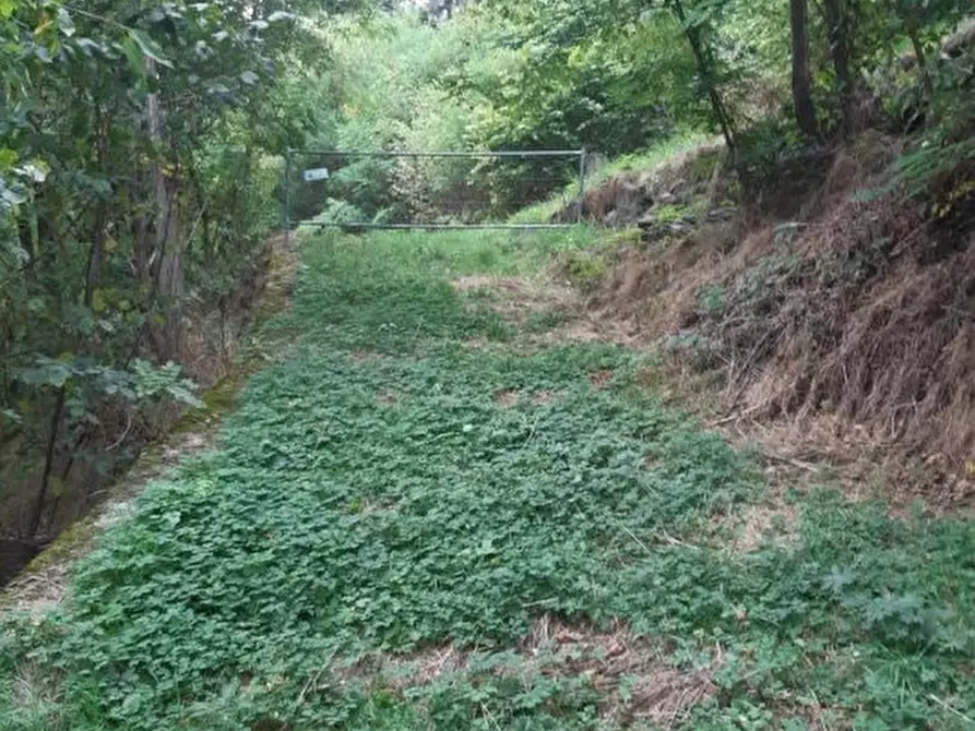 Immagine 7 di Rustico / casale in vendita  a Monno
