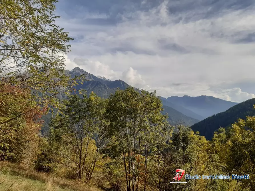 Immagine 6 di Rustico / casale in vendita  a Monno