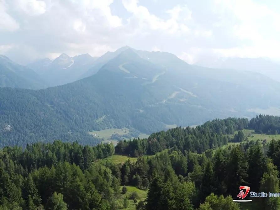 Immagine 5 di Rustico / casale in vendita  a Corteno Golgi