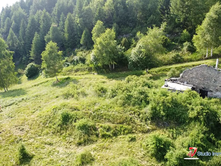 Immagine 2 di Rustico / casale in vendita  a Corteno Golgi