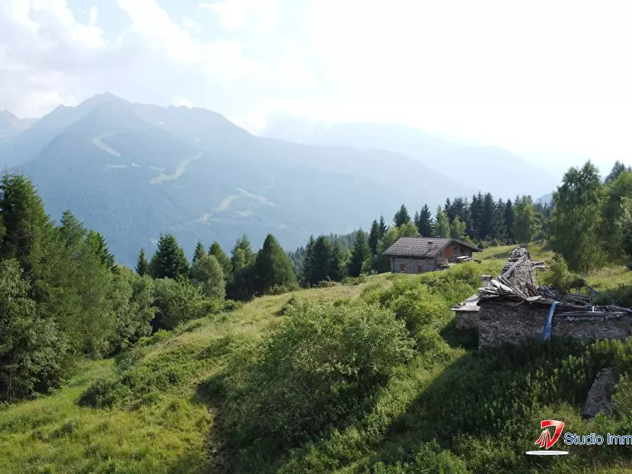Immagine 4 di Rustico / casale in vendita  a Corteno Golgi