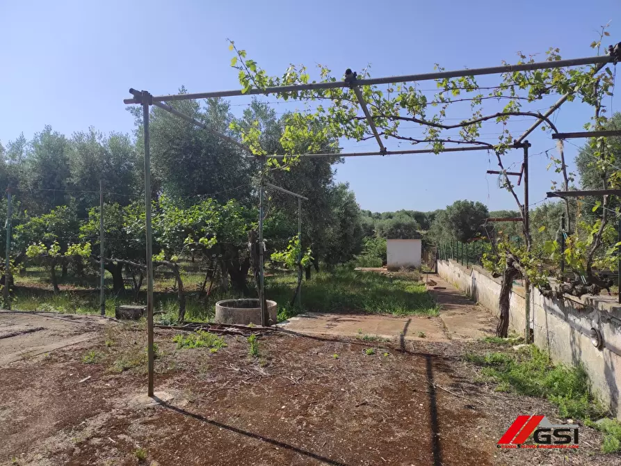 Immagine 3 di Rustico / casale in vendita  a Carovigno