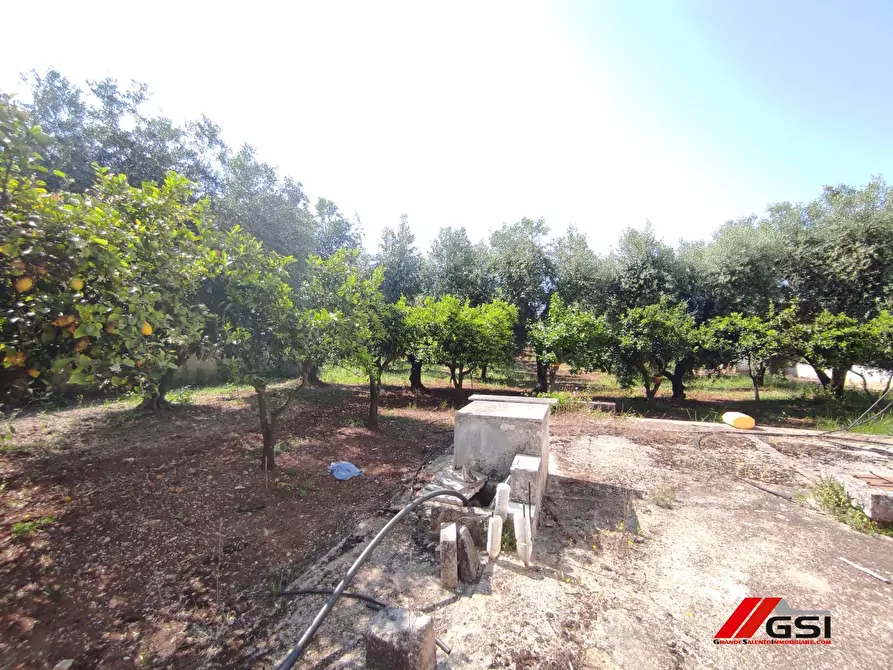 Immagine 2 di Rustico / casale in vendita  a Carovigno