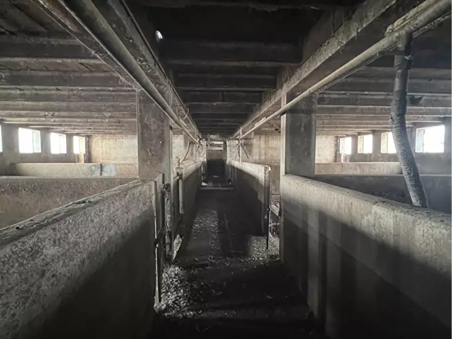 Immagine 6 di Rustico / casale in vendita  a Pandino