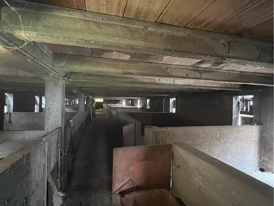 Immagine 10 di Rustico / casale in vendita  a Pandino