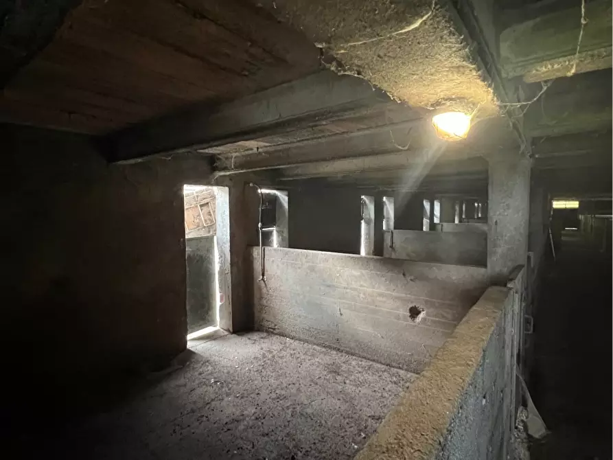 Immagine 8 di Rustico / casale in vendita  a Pandino