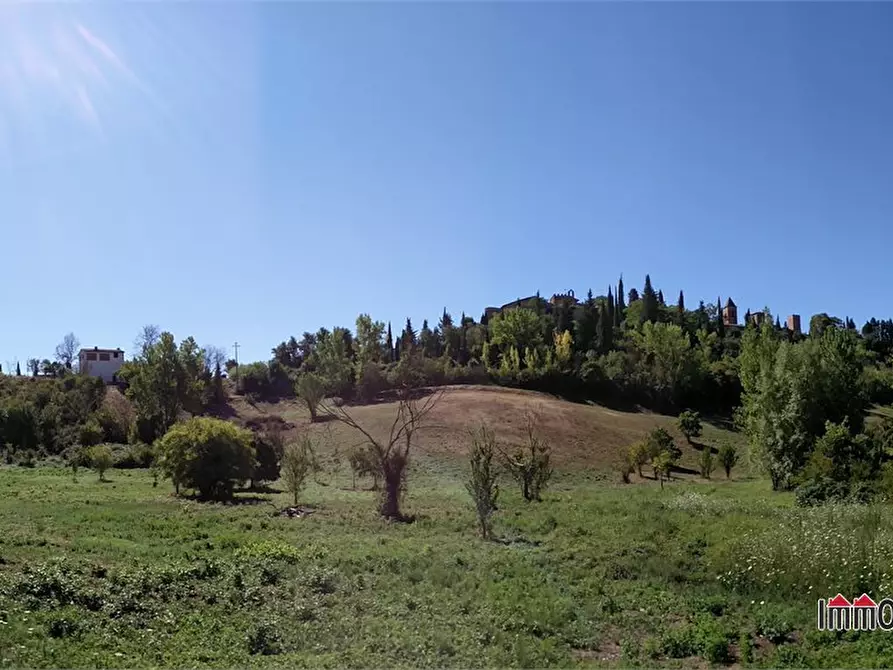 Immagine 10 di Rustico / casale in vendita  a Certaldo