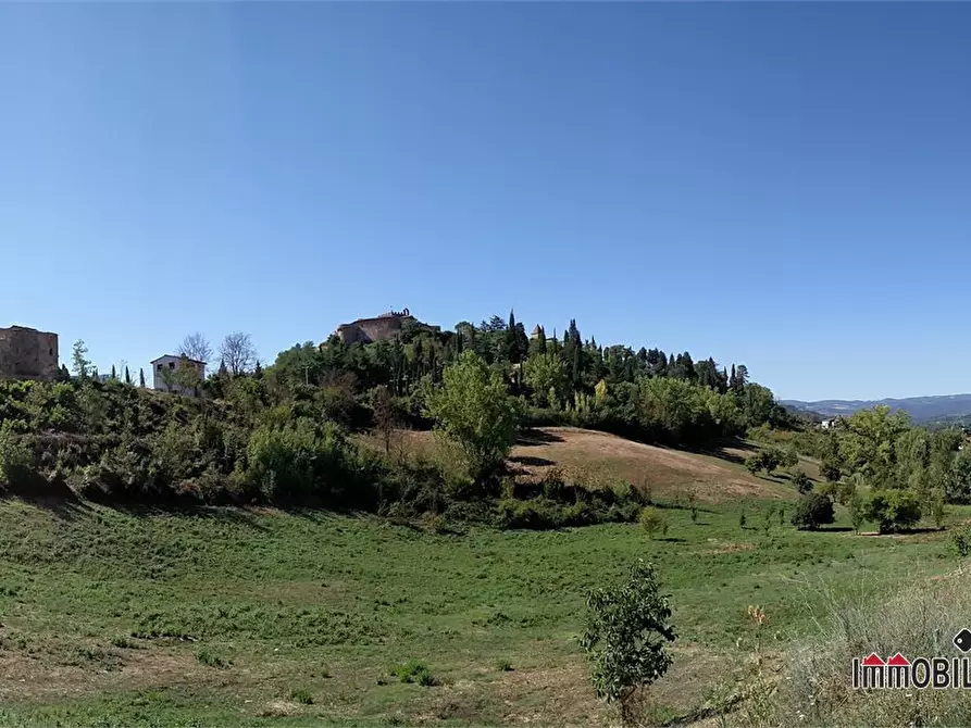 Immagine 9 di Rustico / casale in vendita  a Certaldo