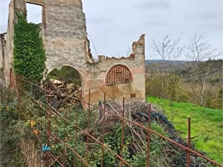 Immagine 4 di Rustico / casale in vendita  a Certaldo
