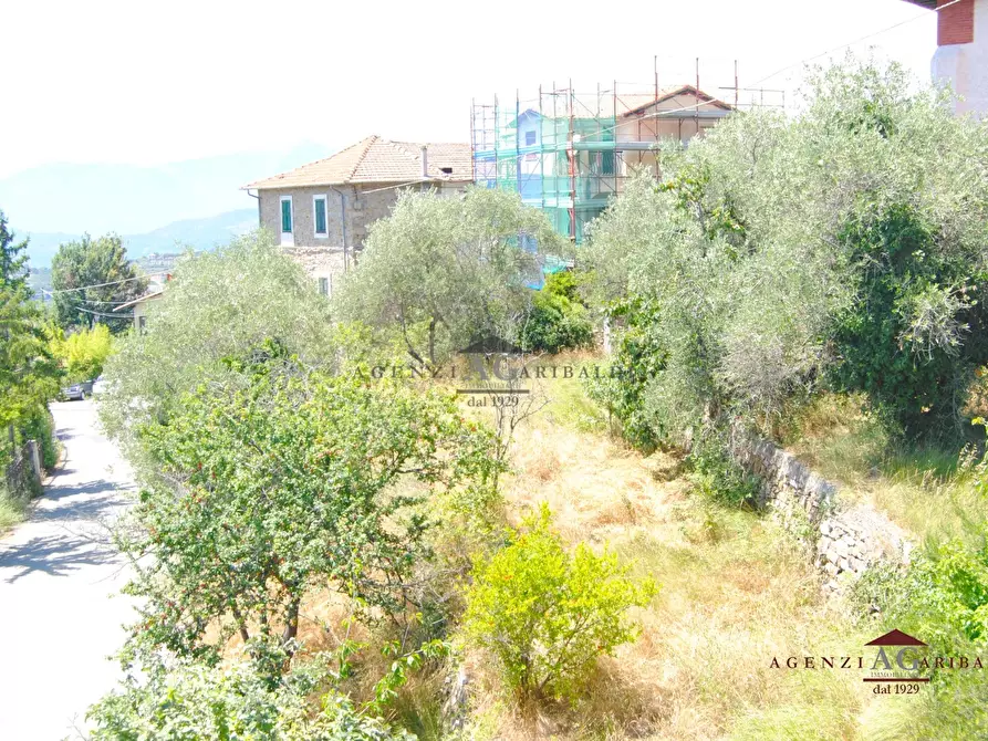 Immagine 8 di Rustico / casale in vendita  a Seborga