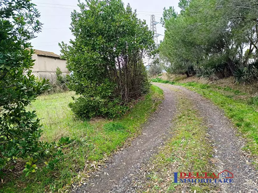 Immagine 5 di Rustico / casale in vendita  a Rosignano Marittimo