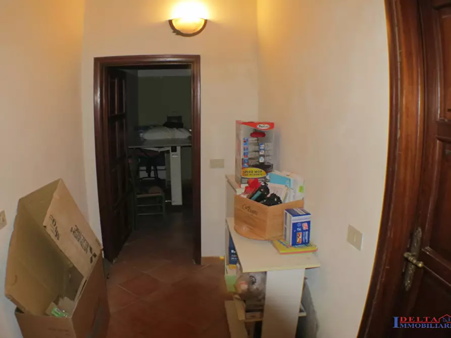 Immagine 7 di Rustico / casale in vendita  a Rosignano Marittimo