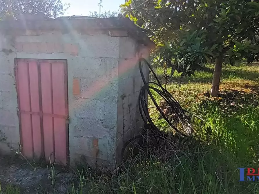 Immagine 8 di Rustico / casale in vendita  a Rosignano Marittimo