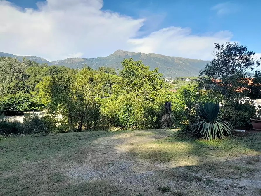 Immagine 2 di Rustico / casale in vendita  a Camaiore