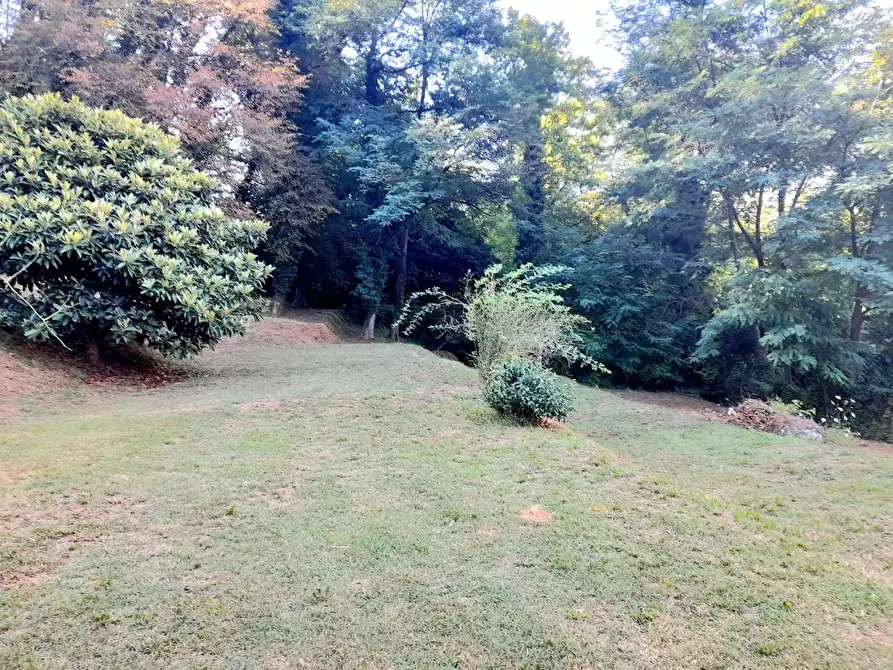 Immagine 3 di Rustico / casale in vendita  a Camaiore