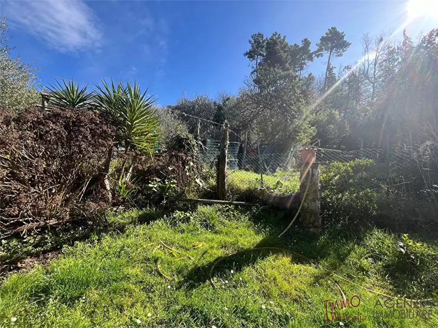 Immagine 5 di Rustico / casale in vendita  a Massarosa