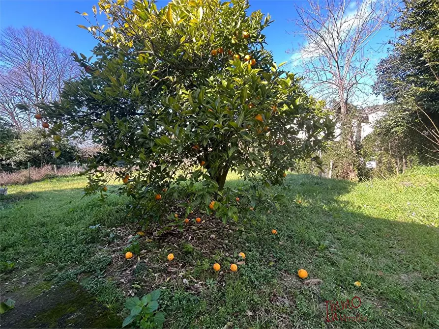 Immagine 10 di Rustico / casale in vendita  a Massarosa