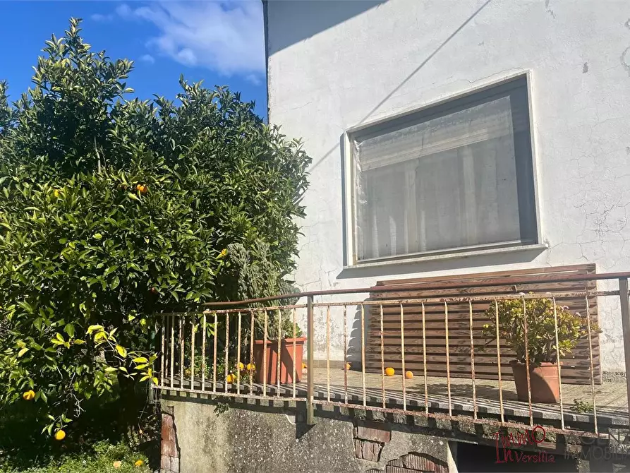 Immagine 2 di Rustico / casale in vendita  a Massarosa