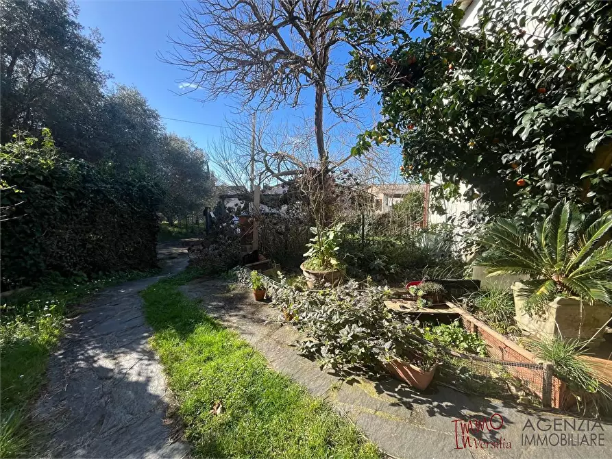 Immagine 3 di Rustico / casale in vendita  a Massarosa