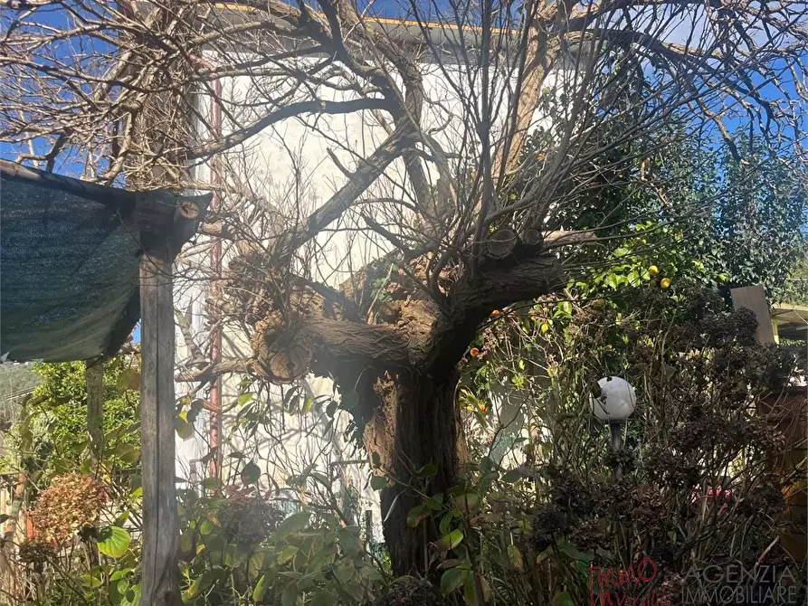 Immagine 6 di Rustico / casale in vendita  a Massarosa
