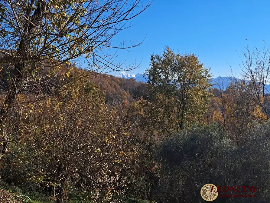 Immagine 8 di Rustico / casale in vendita  12 a Bagnone