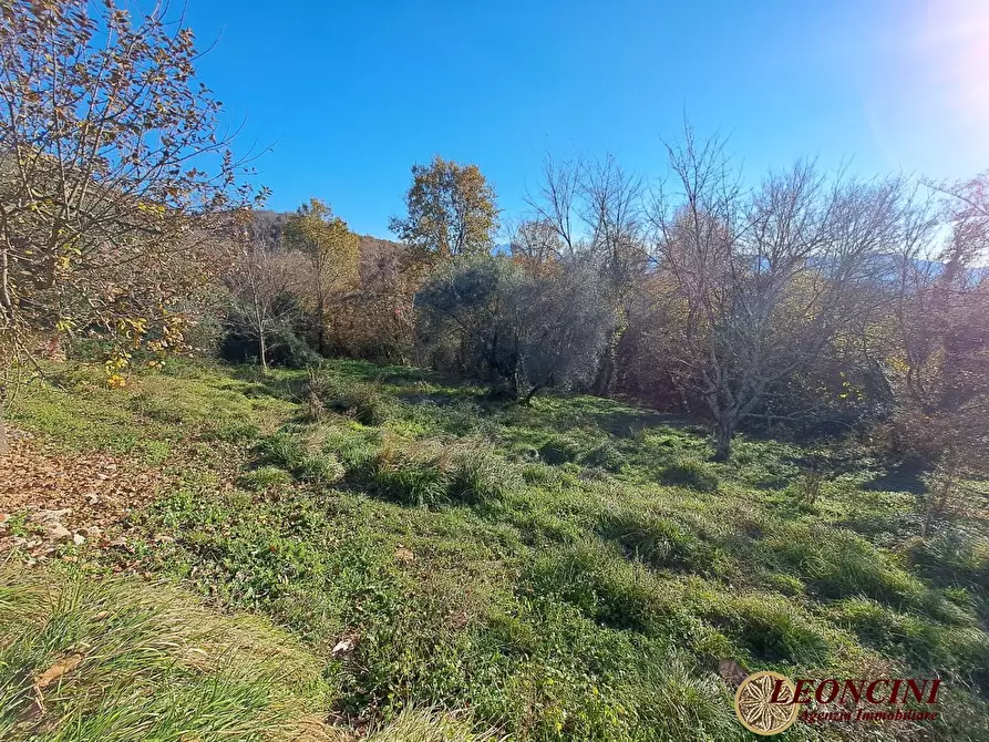 Immagine 5 di Rustico / casale in vendita  12 a Bagnone