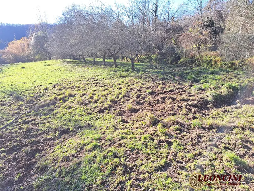 Immagine 8 di Rustico / casale in vendita  3 a Mulazzo