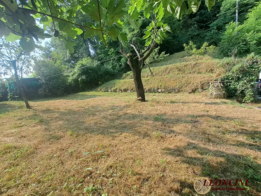 Immagine 3 di Rustico / casale in vendita  77 a Mulazzo