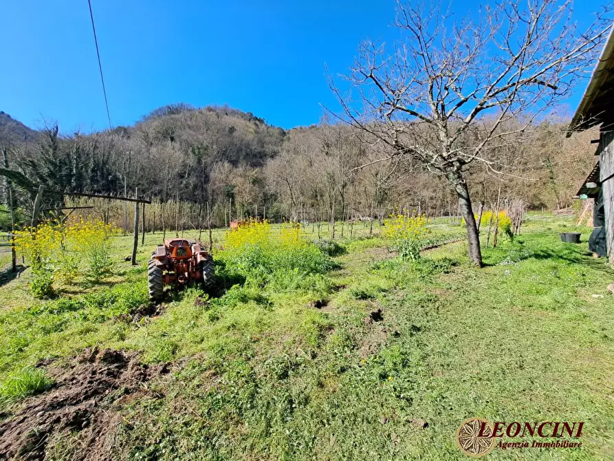 Immagine 7 di Rustico / casale in vendita  100 a Podenzana