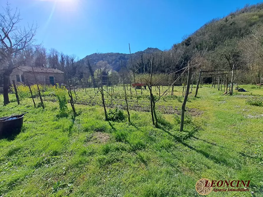 Immagine 3 di Rustico / casale in vendita  100 a Podenzana