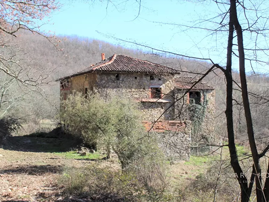 Immagine 7 di Rustico / casale in vendita  a Pontremoli
